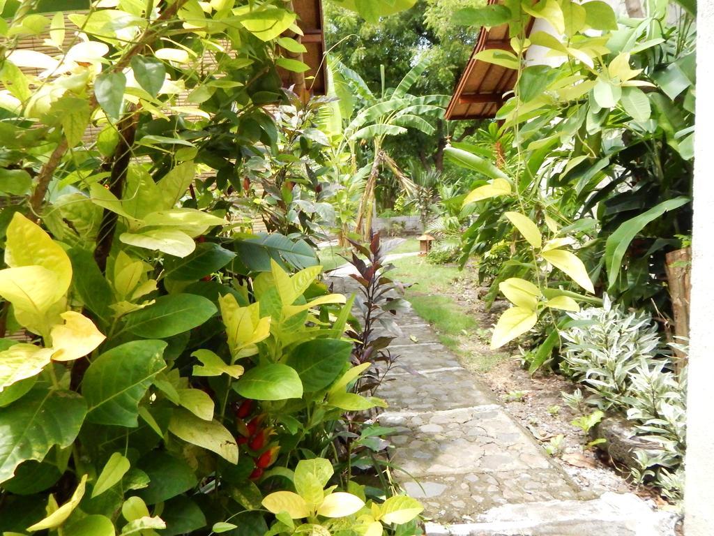 Toke Menjangan Hotel Banyuwedang Buitenkant foto