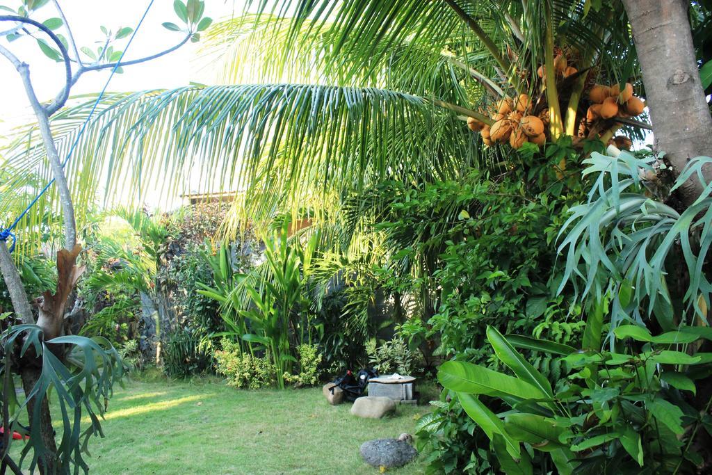 Toke Menjangan Hotel Banyuwedang Buitenkant foto