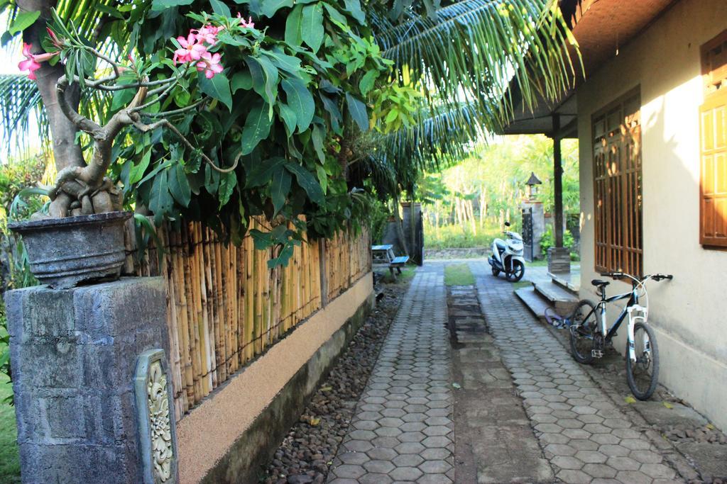 Toke Menjangan Hotel Banyuwedang Buitenkant foto